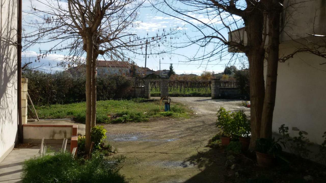 Fattoria Zitumasse Hostal Crecchio Exterior foto